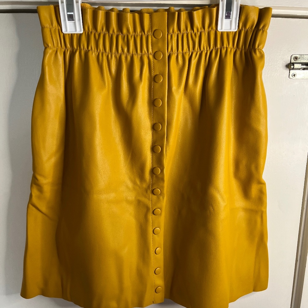 Zara Leather Skirt